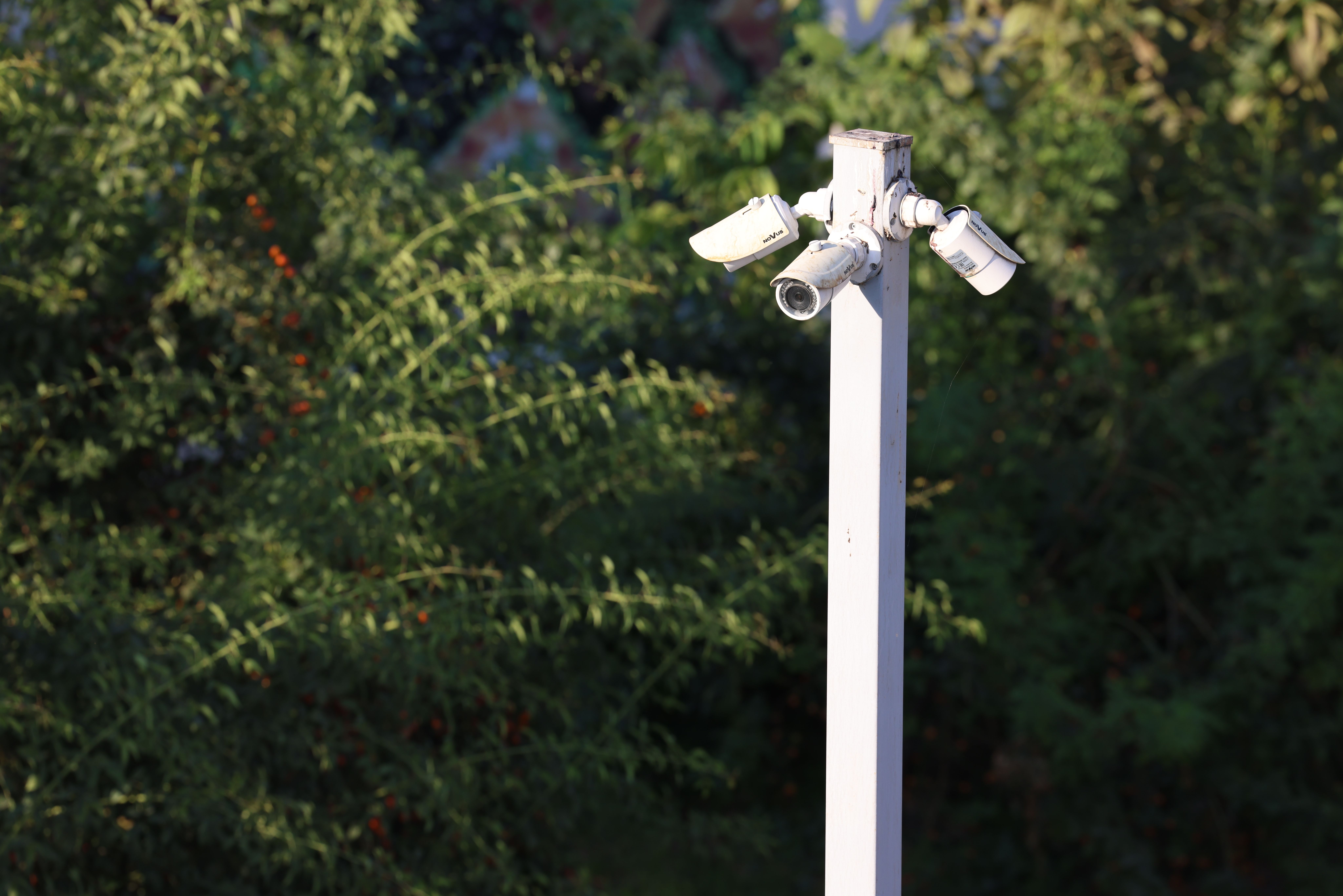 Surveillance & Public Safety